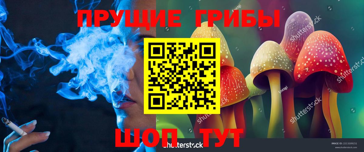 Псилоцибиновые грибы мицелий  купить   Псилоцибиновые грибы прущие грибы  Славгород  Вход с VPN 